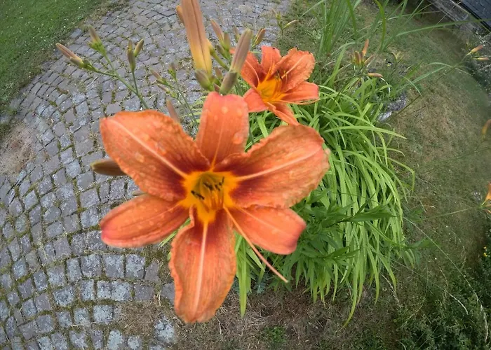 Zum Alten Pfarrhaus Bed & Breakfast